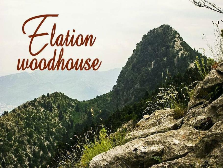Elation Woodhouse Apartment Exterior photo